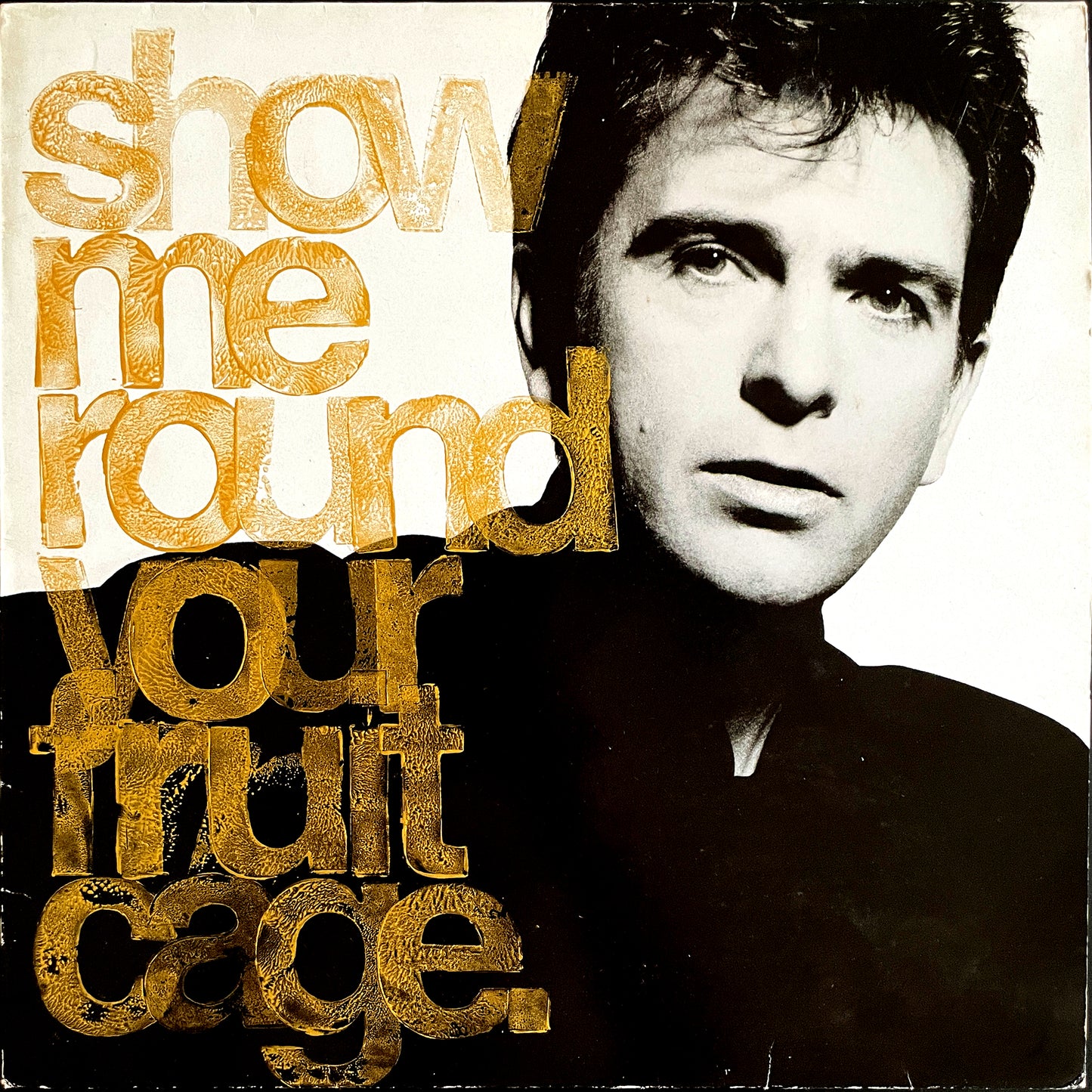 show me round your fruit cage.